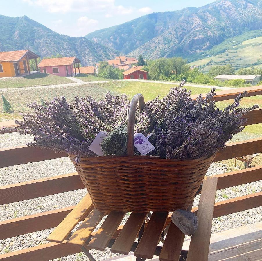 Azienda Agricola Saint Hubert Cantalupo Ligure المظهر الخارجي الصورة